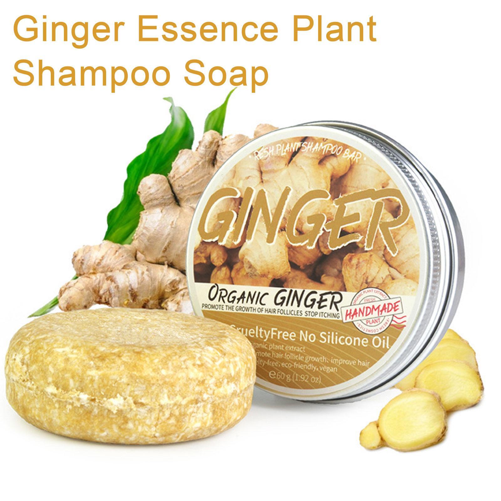 Hair Care Pantene - Ginger Polygonum Shampoo para cuidados capilares,