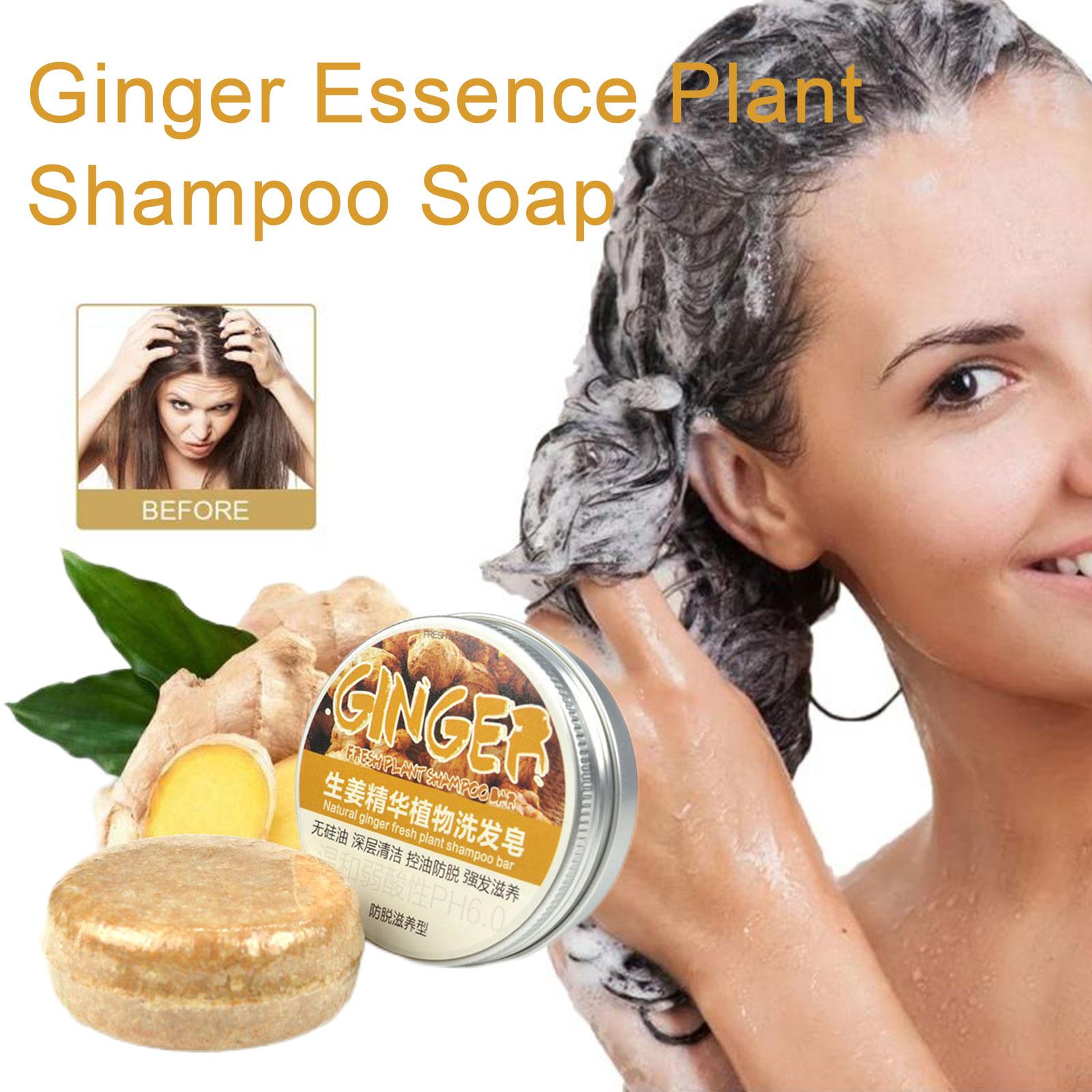 Ginger Polygonum Shampoo para  - Hair Care Pantene avaliação e preço
